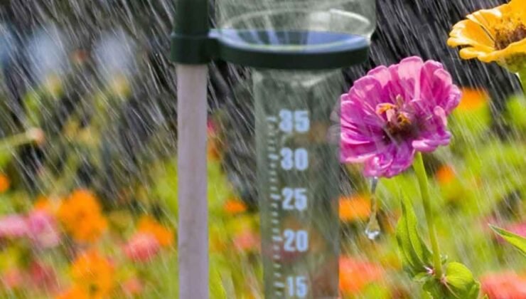 En çok yağış Karpaz bölgesine düştü