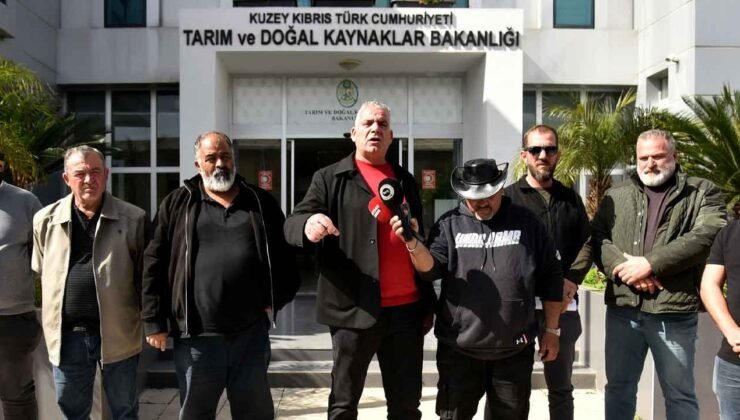 Hayvancılar: Ayda 12 Bin Ton Arpaya İhtiyaç Var